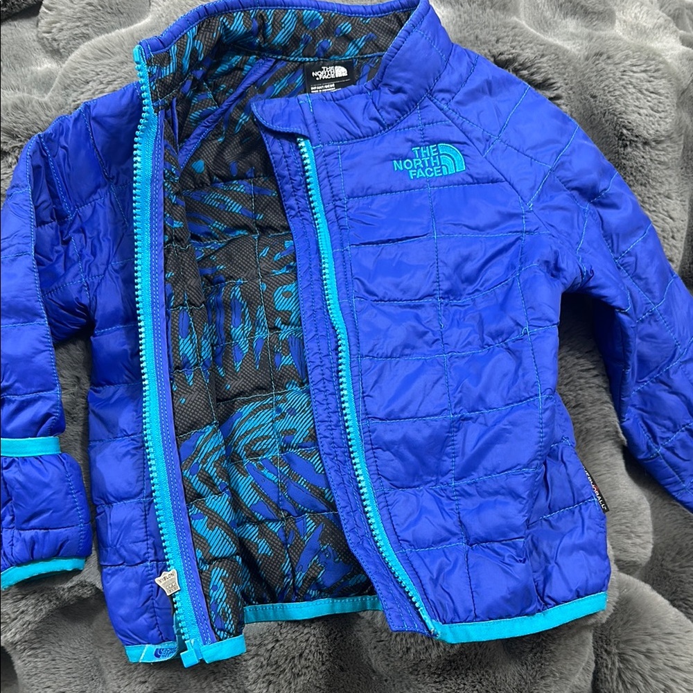 The North Face Blue Quilted Jacket